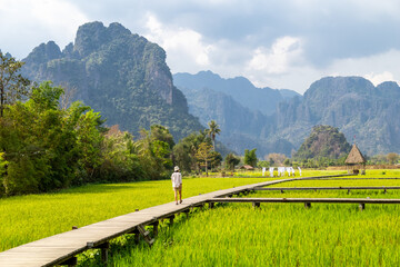 wooden path with green rice field in Vang Vieng, Laos. - 582742088