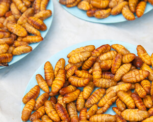 silk worm fried on dish