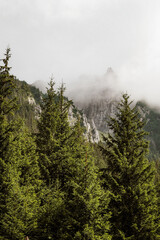 Nature scenic landscapes, Polish mountains and rocks and forests