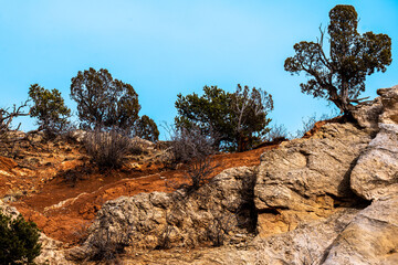 Red sandstone rock features, showing interesting texture, pits and pock marks, from wind and water erosion, crevices, smooth edges, tee growing from the rocks, with copy space and negative space.