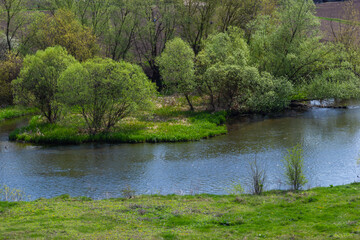 Fototapeta na wymiar Landscape beautiful alluvial forest at the river in back light in spring
