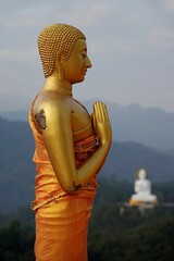 Vertical aerial view of big golden Buddha statue on the top of a mountain