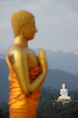 Selective focus shot of a white Buddha statue with blur golden Buddha statue in the foreground