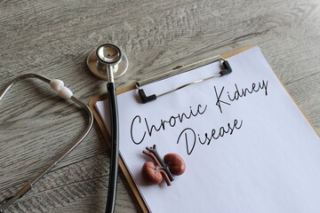 Stethoscope, kidney model and paper clipboard with text Chronic Kidney Disease. Medical and healthcare concept