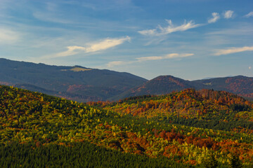 Nice landscape with rural meadow in Carpathian mountains, Ukraine