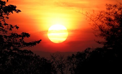 Beautiful, orange sunset sky with silhouette of trees in the foreground