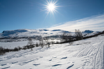  Winterlandschaft m Gegenlicht in Norwegen
