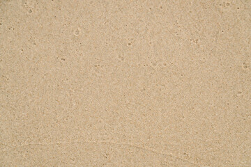 beach sand wet nature texture background. top view. copy space.