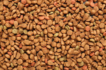 Dry pet food as background, closeup