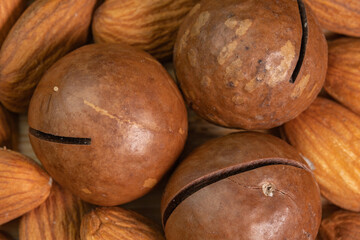 Whole Australian shelled macadamia nuts on wooden background close up. Healthy skin and hair and natural healing oil treatment