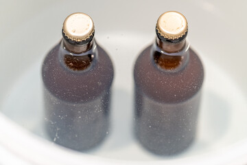 beer bottles in water in a container