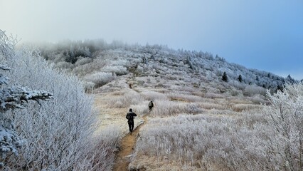 Hiking the Art Lobe trail in Asheville, North Carolina.  Cold Winter hiking. 