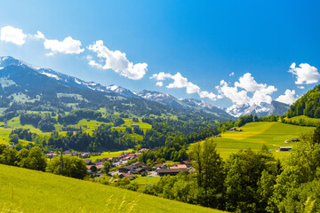 Obraz na płótnie Canvas Cottages houses and mountains covered with forest in the village Darstetten in Frutigen-Niedersimmental, Bern, Switzerland