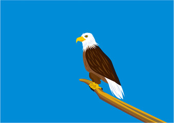 青空の下、木に止まるハクトウワシのイラスト