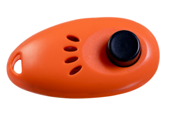 Isolated clicker used for dog training