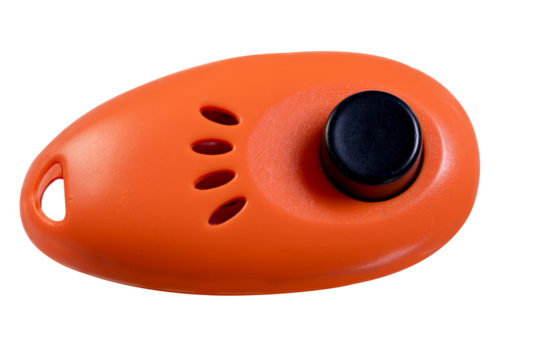Isolated clicker used for dog training