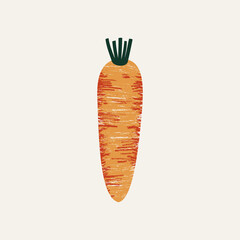 Carrot textured illustration. Vector vegetable illustration. Vector illustration