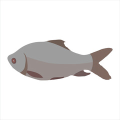 A nice and big Katla fish vector artwork