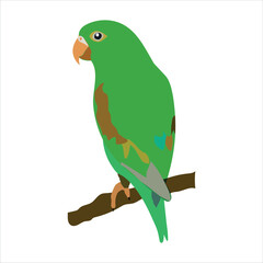 A nice multi-colored bird is standing vector artwork