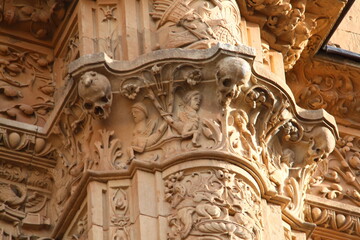 Escuelas mayores de la Universidad 