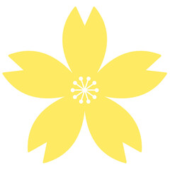 Fototapeta na wymiar Yellow flower, cherry blossom