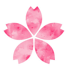 pink flower, cherry blossom