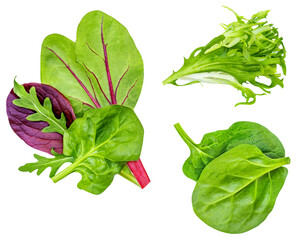 Salad leaves Collection. Isolated Mixed Salad leaves with Spinach, Frisee, Chard, lamb's  lettuce,...