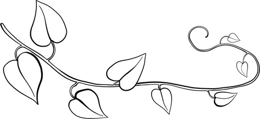 Simplicity ivy freehand drawing