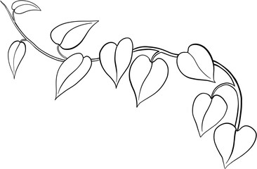 Simplicity ivy freehand drawing