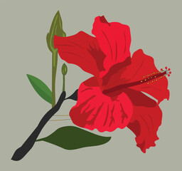 A red color flower with green leaves vector artwork