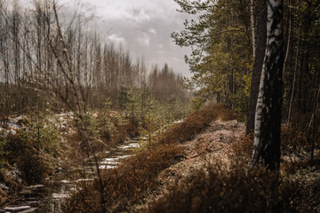 Fototapeta premium landscape in early spring in Latvia swamp area. Ice covered small pond and ditches. Snow in warm weather and forming puddles above ice surface. Sunny day