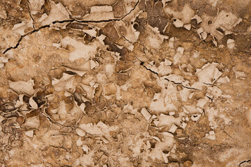 Brown rusty grunge background. Abstract texture of dry clay ground with cracks on earth soil