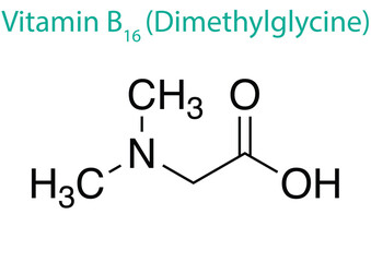 Vector illustration of the molecule structure of Vitamin B16 (Dimethylglycine)