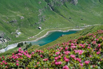 Shot of a lake in the alps, surrounded by pink flowers and green field