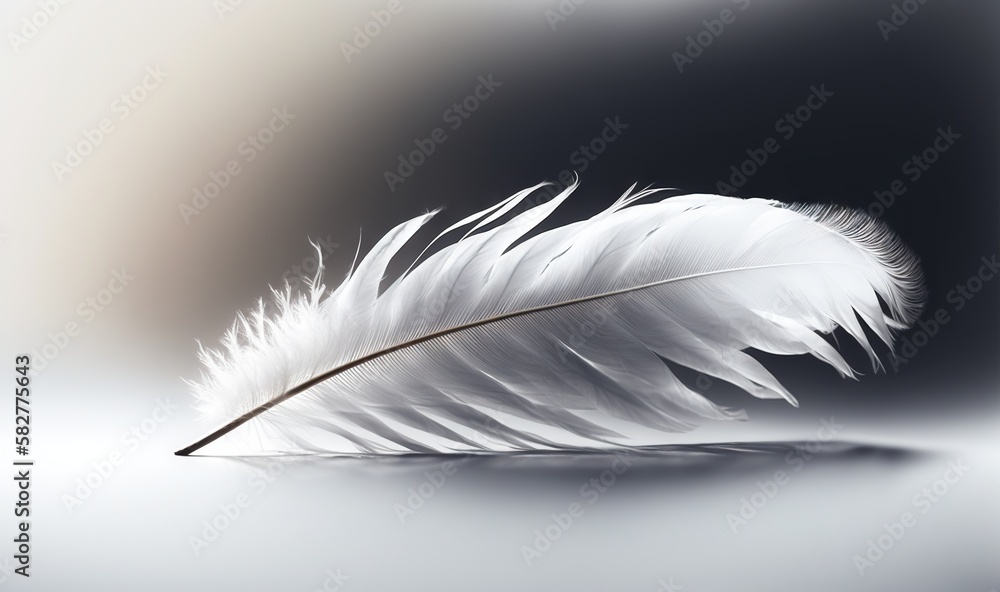 Poster a white feather on a black and white background with a blurry image of the back of the feather and t