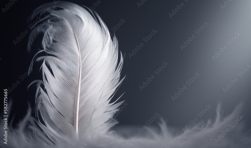 Poster a white feather on a black background with a light shining on it's back side and a black background 