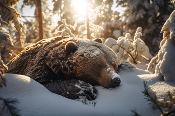 Bear covered with snow, hibernated for winter, sleeping in woods under trees, generative ai - obrazy, fototapety, plakaty