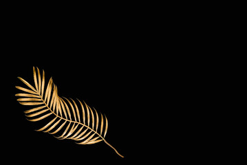 Golden palm leave decorative flower on a black background