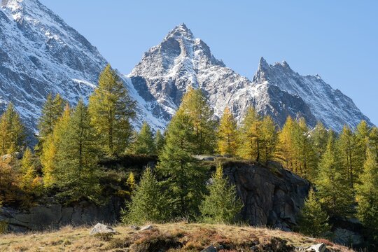 View of the Levanne peaks in background and mountain forest