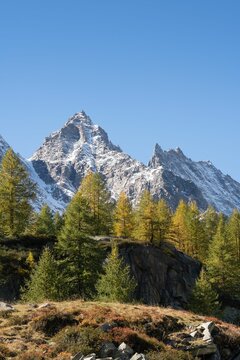 View of the Levanne peaks in background and mountain forest