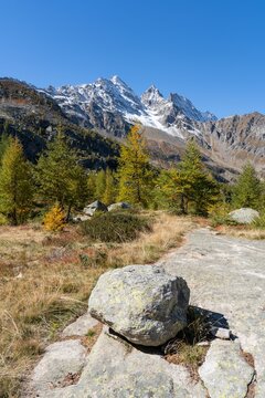 View of the Levanne peaks in background and mountain forest