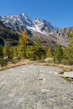 View of the Levanne peaks in background and mountain forest