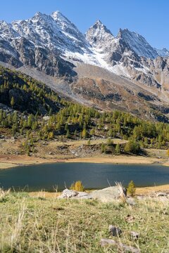View of the Levanne peaks in background and mountain forest
