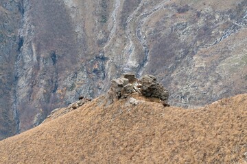Aerial view of ibexes on the mountain of Alps