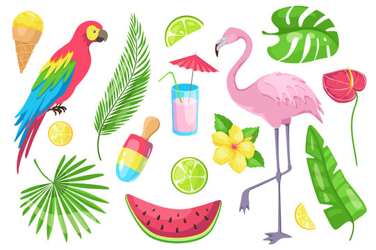 Summertime set graphic elements in flat design. Bundle of ice cream, parrot, palm leaves, lemon, lime, cocktail, flamingo, watermelon, tropical flowers and other. Illustration isolated objects
