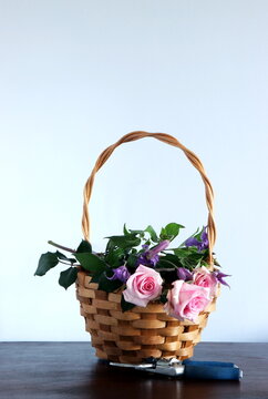 A wicker basket with newly cut roses and clematis laid on it.