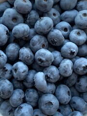 fruit, blueberry, food, berry, blueberries, blue, fresh, healthy, berries, sweet, organic, bilberry
