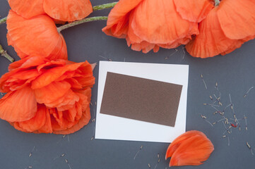 Red poppies with empty white business card template