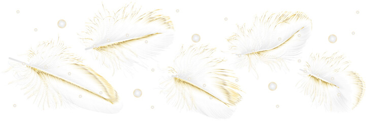 Art wallpaper with golden white feathers. Modern creative design for home decor, banners, and prints. Vector illustration.