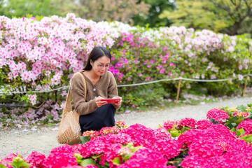 Woman use cellphone to take photo on Hydrangea flower in park